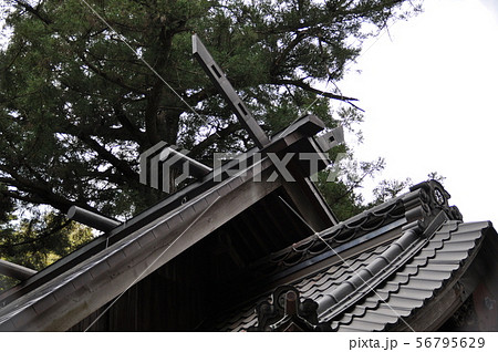 萩日吉神社 千木と鰹木 萩日吉神社 千木と鰹木 56795629