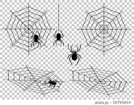 蜘蛛の巣のイラスト素材