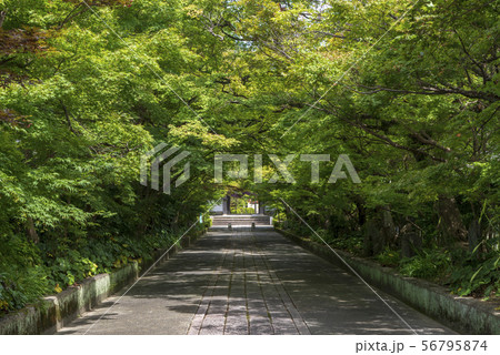 龍福寺 龍福寺 56795874