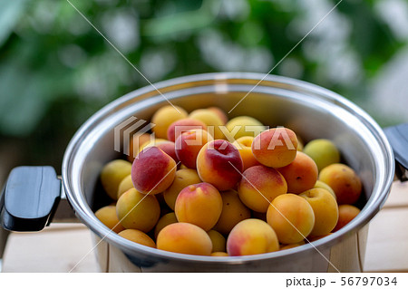 梅ジュース作り 梅ジュース作り 56797034