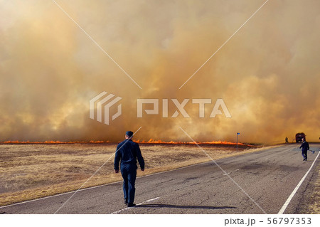 Firefighters extinguish fire in forest by water Firefighters extinguish fire in forest by water 56797353
