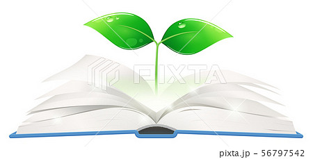 開いた本から生える芽のイラスト 56797542