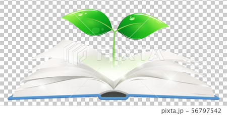 生長從一本開放書的芽的例證 56797542