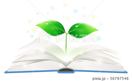 開いた本から生える芽のイラスト_キラキラ 56797546