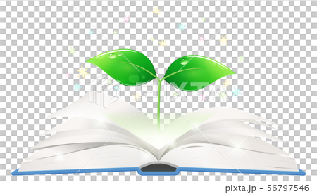 開いた本から生える芽のイラスト_キラキラ 56797546