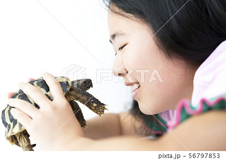 女の子とペットのリクガメ 女の子とペットのリクガメ 56797853