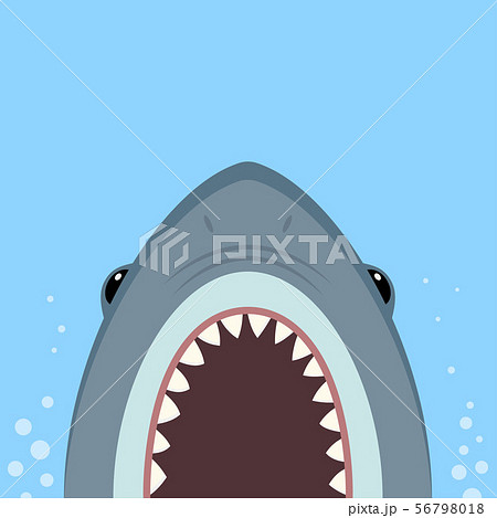 Big Shark With Open Jawsのイラスト素材