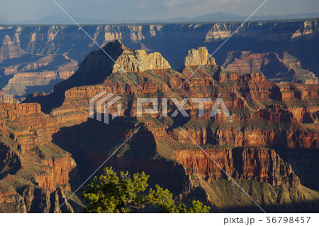 グランドキャニオン　ノースリム　（夕暮れ時の風景） 56798457