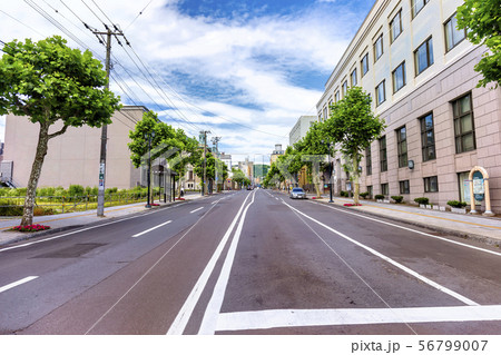 旧三井物産 小樽支店 　(7月　早朝) 56799007