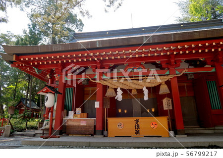 御本社（本宮） 生島足島神社　上田市 56799217