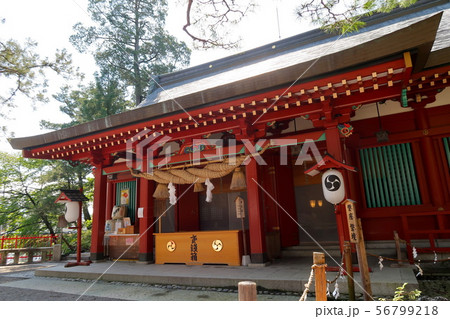御本社（本宮） 生島足島神社　上田市 56799218
