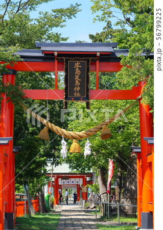 東鳥居 生島足島神社　上田市 56799225