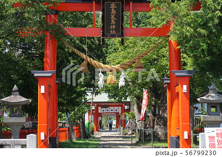 東鳥居 生島足島神社　上田市 56799230