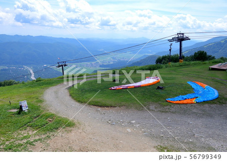 パラグライダー体験 白馬八方尾根　白馬村 56799349