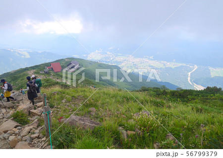 八方尾根自然研究路 岩場コース　白馬村 56799379