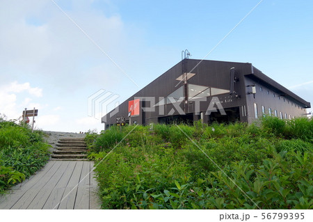 黒菱平 アルペンクワッドリフト 八方尾根自然研究路　白馬村 56799395