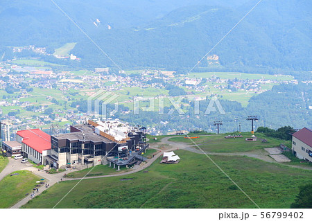 うさぎ平 白馬マウンテンビーチとコロナエスケープテラス　白馬村 56799402