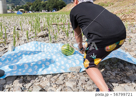 スイカ割り スイカ割り 56799721