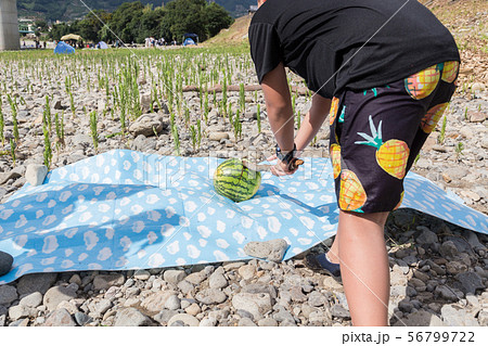 スイカ割り 56799722
