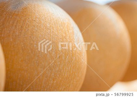 Traditional factory of soccer balls at Mongui 56799925