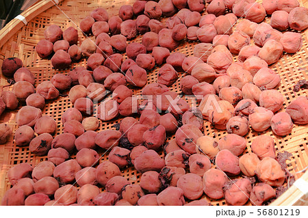 天日干しの梅干し 天日干しの梅干し 56801219