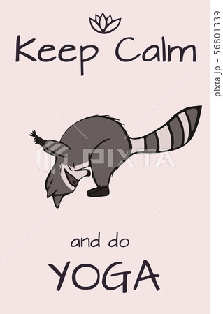 Hand drawn yoga raccoon with lettering 56801339
