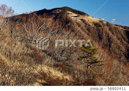 大菩薩連嶺・ハマイバ丸付近から見る雁ヶ腹摺山 56802411