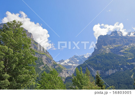 スイス、グリンデルワルトの風景 スイス、グリンデルワルトの風景 56803005