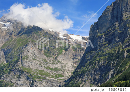 スイス、グリンデルワルトの風景 スイス、グリンデルワルトの風景 56803012