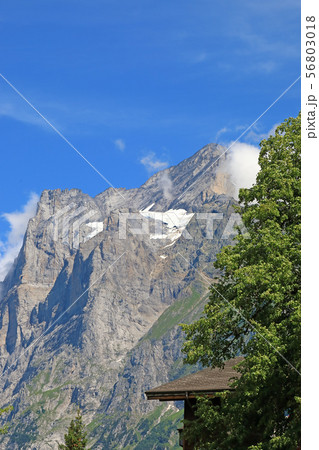 スイス、グリンデルワルトの風景 スイス、グリンデルワルトの風景 56803018