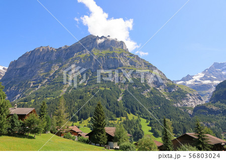 スイス、グリンデルワルトの風景 スイス、グリンデルワルトの風景 56803024