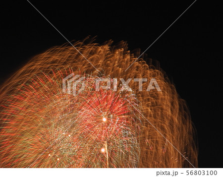 日本の花火 日本の花火 56803100