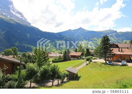 スイス、グリンデルワルトの景色 56803111