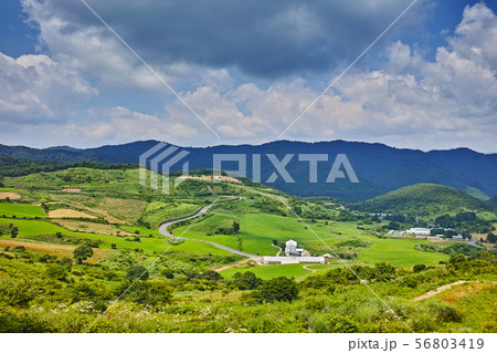 大野ヶ原 56803419