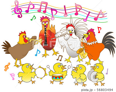 鶏のコンサート 鶏のコンサート 56803494