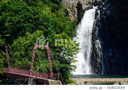 法体の滝 夏 秋田県 法体の滝 夏 秋田県 56803689