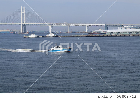 横浜港とベイブリッジ 56803712