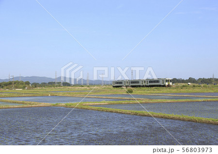 強風の田園を行く磐越西線キハ110 強風の田園を行く磐越西線キハ110 56803973