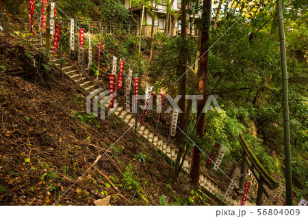 埼玉飯能の秋 紅葉の東郷公園(秩父御嶽神社) 埼玉飯能の秋 紅葉の東郷公園(秩父御嶽神社) 56804009