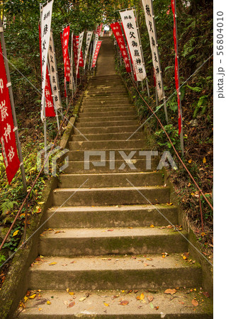 秋の埼玉飯能 東郷公園 秩父御嶽神社62の写真素材