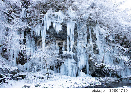 三十槌の氷柱 (埼玉県秩父市) 56804710