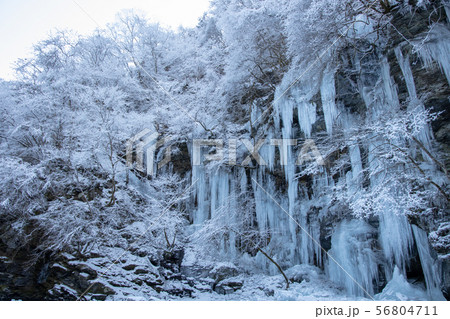 三十槌の氷柱 (埼玉県秩父市) 三十槌の氷柱 (埼玉県秩父市) 56804711