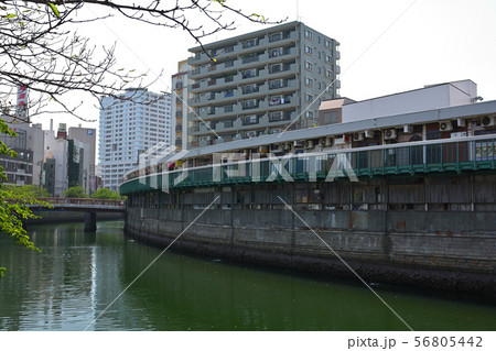 横浜・大岡川 56805442