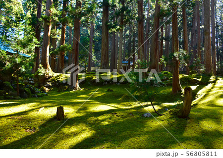白山平泉寺 開山社 白山平泉寺 開山社 56805811