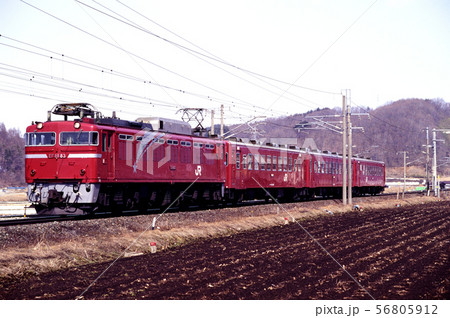1996年　EF8183東北線50系普通列車 56805912