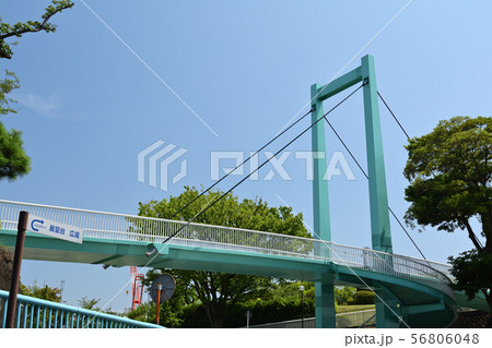 横浜・野毛山公園 横浜・野毛山公園 56806048