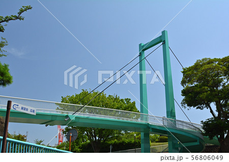 横浜・野毛山公園 横浜・野毛山公園 56806049