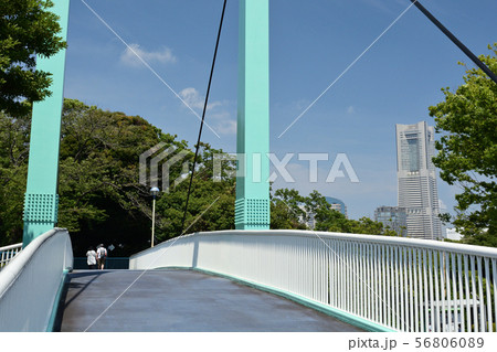 横浜・野毛山公園 横浜・野毛山公園 56806089