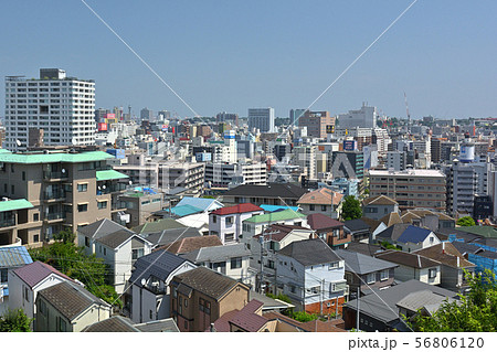 横浜・野毛山公園 横浜・野毛山公園 56806120