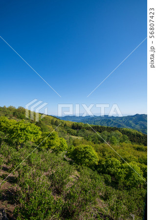 美の山公園 周辺の山々赤城山 日光連山 東秩父方面山並み 美の山公園 周辺の山々赤城山 日光連山 東秩父方面山並み 56807423